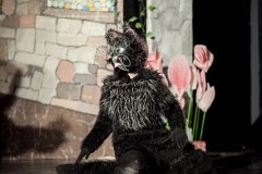 013_img_8608.jpg