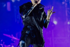 181.jpg