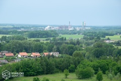 DSC_0029.jpg