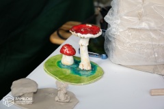 DSC_0317.jpg